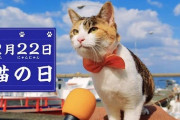 今日はネコの日らしいぞ