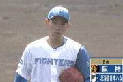 【vs.阪神オープン戦】日ハム根本、渡邉諒に一発を浴び2回で早くも4失点