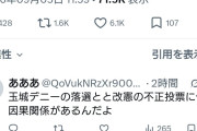 パヨさん「沖縄でデニーさんが負けちゃったら日本終わるよ！」