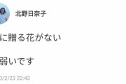 【乃木坂46】北野日奈子「君に贈る花がない　に弱いです」エモすぎる・・・