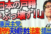 保守派さん「夫婦別姓は戸籍の破壊！反対！」 →高市政権で"旧姓単記可"の方針へ。選択的夫婦別姓よりもこっちの方が格段に戸籍が形骸化するのではと話題に