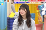 【櫻坂46】ゆーづはラヴィットで新人とは思えないような対応しててすげぇわ