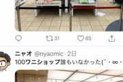 【超朗報】100ワニショップ、Twitter民が押し寄せ東京駅最大の撮影スポットになる