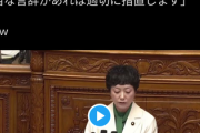 れいわ新選組 特攻隊長 奥田ふみよ『ママが必ず戦争を止めてみせます もう誰も殺させない』