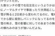 【悲報】都民「雪国マウントうっざ！雪知ってるぐらいでイキるな！」アニメアイコン「はぁ…ｗ」