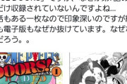 【悲報】ワンピースファンによってワンピースの扉絵の闇が暴かれる