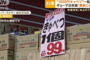 【朗報】あんなに高かったキャベツの価格が急落 1個99円になってしまう