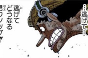 【ワンピース】どうして麦わら一味のウソップは不人気なの？？？？？