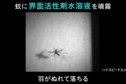 【朗報】蚊を飛べなくする新兵器、発明される