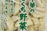 冷凍『 町中華のひとくち野菜餃子』500g×4袋に半額クーポン出現！楽天のメガ盛り餃子より安い