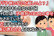 C子「子供いないと寂しいよ？」私「そうかもしれないけど」30代の頃、子供がいることの幸せを聞かされていた。最近C子からやたらお茶に誘われるようになって…
