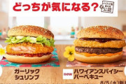 【朗報】マックの新作、めちゃくちゃ美味そう