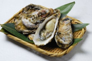 牡蠣(おいしいです、海のミルクです、プリプリです)←この貝