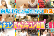 日向坂46加藤史帆×佐々木美玲、可愛すぎる子犬に夢中！“おひさま”はその二人の姿に夢中ｗｗ【どうぶつピース！！】