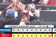 日ハムサヨナラ負け...9回2アウト2ストライクから望月が上本に被弾