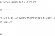 奴隷少女「痛いことはやめてください…」お前ら「>>3」