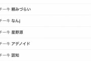 【画像】日本さん、チーズ牛丼に対する差別がガチで深刻化してしまうｗｗｗｗｗｗｗｗｗｗ
