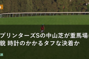 スプリンターズSの中山芝が重馬場に変貌 時計のかかるタフな決着か