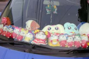 女が車のボンネットにぬいぐるみを満載する理由ｗｗｗｗｗｗｗｗｗｗｗｗｗｗｗｗｗｗｗｗｗｗｗｗ