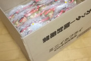 宅配BOXに入らなかったミニイカフライ50個の再配達が届いた。外箱におもいっきり・・・
