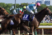 種牡馬アドマイヤマーズの現時点での評価