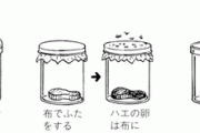 科学者（1668年）「ハエは自然発生してるのかどうか知りたいなあ………せや！」