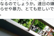 【画像】立憲・辻元清美｢生卵を投げつけられました。とても悲しいです｣