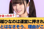 有識者『大越ひなのは運営に押されることはなさそう、理由がこれ』 #乃木坂46 #乃木坂46のスター