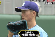 矢澤宏太、日ハム単独濃厚ｗｗｗｗｗｗｗｗｗｗｗｗｗｗｗｗｗｗｗｗｗｗｗｗ