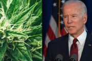 バイデン大統領の大麻所持犯全員の恩赦　ほとんどの米国人は支持