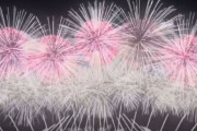 【動画あり】韓国人「早く日本に行きたい！」美し過ぎる日本の元旦の花火大会に、韓国人も感動！　韓国の反応