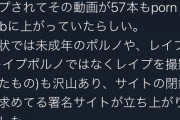 【画像】女さん「エチサイト閉鎖に！署名お願いします」チン「妊娠マシンのくせに生意気な」