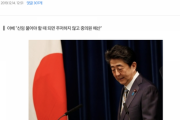 【お見通し】安倍さんの支持率急落を知った韓国人「また韓国叩きすれば支持率上がるんでしょ笑」