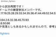 【日ハム】札幌ドーム練習参加メンバー