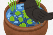 バルコニーに睡蓮鉢を設置 → カラスに荒らされる → 近くに水を張った大きめバケツを置いてカラスを説得 → カラスがバケツで水浴びするようになる