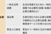 【悲報】国から30万貰える条件、厳しすぎる