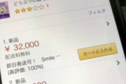 【驚愕】「あつ森」 紙ーボ高騰。人気ナンバーワンの「ジュン」は驚異の30000超え