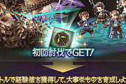 【グラブル】エクス・サジタリウス神滅戦で貰える大事なものは風キャラ限定の効果…風は耐久寄りのボーナスが多いが大事なものでも属性格差が出たりするのかな
