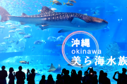 水族館の知名度ランキング作るとしたら1位 美ら海水族館で2位は？