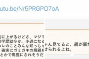【悲報】ゆたぼんを誹謗中傷したニコニコ民、33万円の損害賠償支払いへｗｗｗｗｗ
