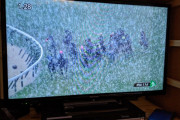 【競馬】競馬実況「邪魔な雪です」