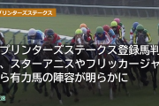 スプリンターズステークス登録馬判明、スターアニスやフリッカージャブら有力馬の陣容が明らかに