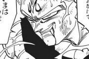 【ドラゴンボール】ベジータって悟空が死んだ後、よく修行のやる気失わなかったよな