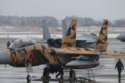 空自飛行教導群「アグレッサー」が新デザインのF-15J戦闘機を公開…今回はトラ模様！