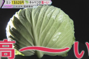 庶民「キャベツ一玉500円は高すぎ！買えない！」→農家「実はこれが適正価格に近いです。機械や設備の価格はおよそ倍になり、人件費も毎年上昇しています」→庶民「」