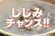 女騎士「くっ私に何を飲ませた！？」オーク「くくく…しじみエキスだ」しじみチャンス！！