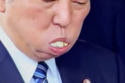 【ゲル悲報】石破おにぎり一口喰いの真相がこちら…→（動画）