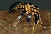 【朗報】世界最小のカニ型ロボット、開発される