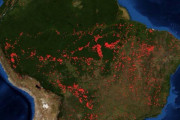 【悲報】地球の酸素の2割を生み出しているアマゾンの森林大火災、話題にならない・・・
