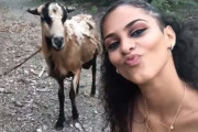 ヤギと一緒に自撮りした女性のこの後すぐ！